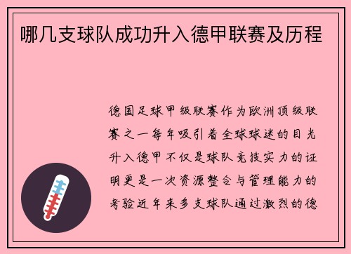 哪几支球队成功升入德甲联赛及历程